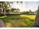 Lush green community park with mature trees, benches, and walking trails on a sunny day at 4024 E Maplewood St, Gilbert, AZ 85297