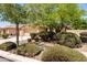 Landscaped front yard featuring mature trees and lush shrubs framing a cozy home at 4024 E Maplewood St, Gilbert, AZ 85297