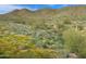 Vibrant desert landscape featuring wildflowers, cacti, and mountains in the background at 42109 N Astoria Way, Anthem, AZ 85086