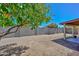 Spacious backyard featuring a mature tree, patio, and block wall at 6623 N 85Th Ave, Glendale, AZ 85305