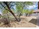 Backyard features gravel, trees, and block wall at 6830 W Desert Ln, Laveen, AZ 85339