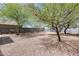 Spacious gravel backyard with mature trees and a block fence surrounding the property at 6830 W Desert Ln, Laveen, AZ 85339