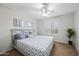 Cozy bedroom with a ceiling fan, grey walls, carpeted floor, shutters, and matching grey and white patterned beddings at 3671 E Kingbird Pl, Chandler, AZ 85286