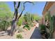 Backyard desert landscaping featuring native plants, trees, and gravel path for a tranquil outdoor space at 6714 E Amber Sun Dr, Scottsdale, AZ 85266