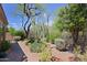 Lush desert landscaping with mature trees, cacti, and gravel pathway enhancing curb appeal at 6714 E Amber Sun Dr, Scottsdale, AZ 85266