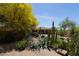 Backyard filled with desert landscaping including mature cactus and a seating area at 18436 W Shasta St, Goodyear, AZ 85338