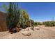 Backyard desert landscape design featuring native plants and artistic metal birds on a decorative rock at 18436 W Shasta St, Goodyear, AZ 85338