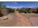 Serene backyard featuring desert landscaping and a pathway with native plants at 18436 W Shasta St, Goodyear, AZ 85338