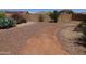 Backyard featuring desert landscaping with gravel and a winding path through native plants and trees at 18436 W Shasta St, Goodyear, AZ 85338