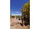 Landscaped backyard featuring desert plants, fire pit, and a unique saguaro cactus centerpiece at 18436 W Shasta St, Goodyear, AZ 85338