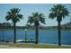 Scenic lake view with palm trees, docks, and waterfront homes in the beautiful Estrella community at 18436 W Shasta St, Goodyear, AZ 85338