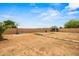Expansive backyard with basketball hoop, patio area, and ample space for outdoor activities at 21033 N Alexis Ave, Maricopa, AZ 85138
