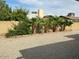 Backyard featuring palm trees, a block wall, and gravel ground cover at 12836 N 39Th Ln, Phoenix, AZ 85029