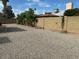 Backyard featuring palm trees, a block wall, and gravel ground cover at 12836 N 39Th Ln, Phoenix, AZ 85029