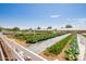 Thriving community garden featuring rows of vegetables and two greenhouses at 4865 S Cylinder Way, Mesa, AZ 85212