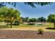 Lush community park featuring a playground and sprinklers in a well-maintained landscape at 15387 W Columbine Dr, Surprise, AZ 85379