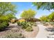 Beautifully landscaped common area with flowering trees, desert plants and winding sidewalks at 18129 N 65Th Pl, Phoenix, AZ 85054