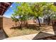 Spacious backyard with mature trees and a shed at 2122 W Piccadilly Rd, Phoenix, AZ 85015