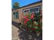 Quaint home exterior with lush rose bushes, complementing the cozy feel at 2511 N 56Th St, Mesa, AZ 85215