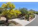 View of the entrance to the property with desert landscaping and a yellow flowering tree at 28045 N 112Th Pl, Scottsdale, AZ 85262