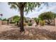 Landscaped backyard with gravel, lush plants, and solar panels on the home at 3022 N 148Th Ave, Goodyear, AZ 85395