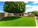 Lush backyard featuring a large shade tree, green lawn, covered patio, and outdoor living space at 6577 W Abraham Ln, Glendale, AZ 85308