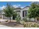 Attractive single-story home featuring desert landscaping and mature trees at 21840 N 260Th Ln, Buckeye, AZ 85396