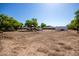 Vast backyard with mature trees, ample space for outdoor activities, and potential for landscaping at 11422 W Hidalgo Ave, Tolleson, AZ 85353