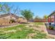 Fully fenced backyard offers a blend of grass and low-maintenance landscaping for outdoor enjoyment at 1210 W Stottler Dr, Chandler, AZ 85224
