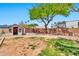 Sprawling backyard featuring a playhouse, mature trees, and ample space for recreation at 1210 W Stottler Dr, Chandler, AZ 85224