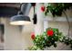 Close-up of red roses and a charming lantern adding to the home's inviting and picturesque exterior ambiance at 14823 W Windsor Ave, Goodyear, AZ 85395