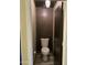 Powder room features dark walls, toilet, modern lighting, and wood-look floors at 30440 N 42Nd Pl, Cave Creek, AZ 85331