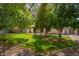 Large backyard features mature trees, green grass, and a patio at 3556 E Angela Dr, Phoenix, AZ 85032