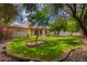 Large backyard with mature trees, green grass, patio, and storage shed at 3556 E Angela Dr, Phoenix, AZ 85032