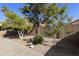 Secluded backyard showcasing desert landscaping, mature shade trees and privacy wall at 4202 E Broadway Rd # 40, Mesa, AZ 85206