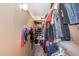 Walk-in closet with ample space for clothing and shoe storage with shelving at 6244 W Clouse Dr, Phoenix, AZ 85033