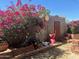 Charming backyard featuring blooming bougainvillea, brick planters, and unique garden decor at 7423 E Cambridge Ave, Scottsdale, AZ 85257