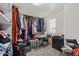 Carpeted walk-in closet with ample storage space for clothes and accessories at 1317 N Balboa --, Mesa, AZ 85205