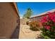 Cozy backyard with a seating area, palm tree, block wall, and colorful flowers in the garden at 13421 W Ocotillo Ln, Surprise, AZ 85374