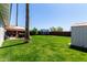 Well maintained backyard with green lawn, patio, storage shed and trampoline at 14008 N 61St Ave, Glendale, AZ 85306
