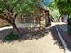 View of the side yard of a home featuring desert landscaping and a mature shade tree at 2434 S Colleen --, Mesa, AZ 85210