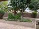 Well maintained backyard with brick pavers and desert landscaping at 2585 E Carob Dr, Gilbert, AZ 85298