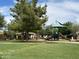 Community playground with a large tree, picnic area, slides and green spaces at 2585 E Carob Dr, Gilbert, AZ 85298
