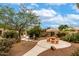 Landscaped backyard with mature trees, picnic table, and gravel ground cover at 3700 N 149Th Ln, Goodyear, AZ 85395