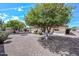This is a spacious, low-maintenance backyard with a mature citrus tree at 6041 E Colby St, Mesa, AZ 85205