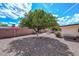 This is a spacious, low-maintenance backyard with a mature citrus tree at 6041 E Colby St, Mesa, AZ 85205