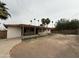 This is a view of the home's backyard with palm trees and grass at 1807 W Hazelwood St, Phoenix, AZ 85015