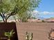 A view of backyard block fence, trees and view of mountains in the distance at 20307 N Painted Sky Dr, Surprise, AZ 85374