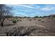 Dry landscaping on a beautiful golf course with beautiful vegetation and an open landscape at 26725 W Marco Polo Rd, Buckeye, AZ 85396