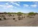 Scenic view of lush green fairways and desert landscaping at 26725 W Marco Polo Rd, Buckeye, AZ 85396